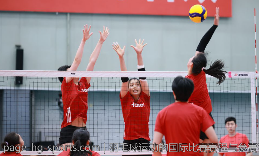 羽毛球运动的国际比赛赛程与参赛准备指南