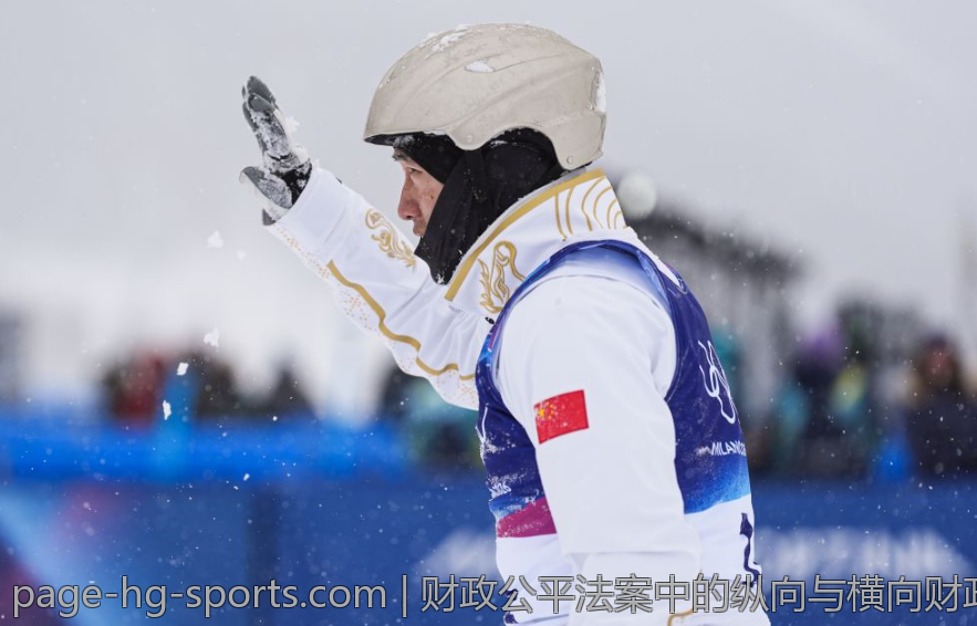 财政公平法案中的纵向与横向财政平衡机制