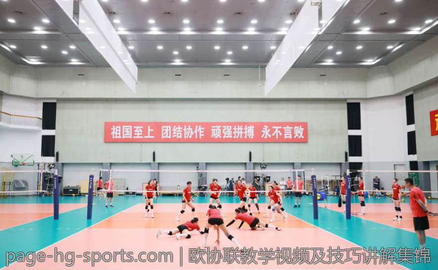 欧协联教学视频及技巧讲解集锦